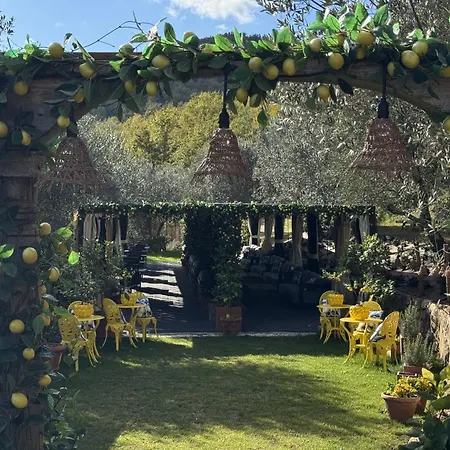 Terre Di Baccio-2